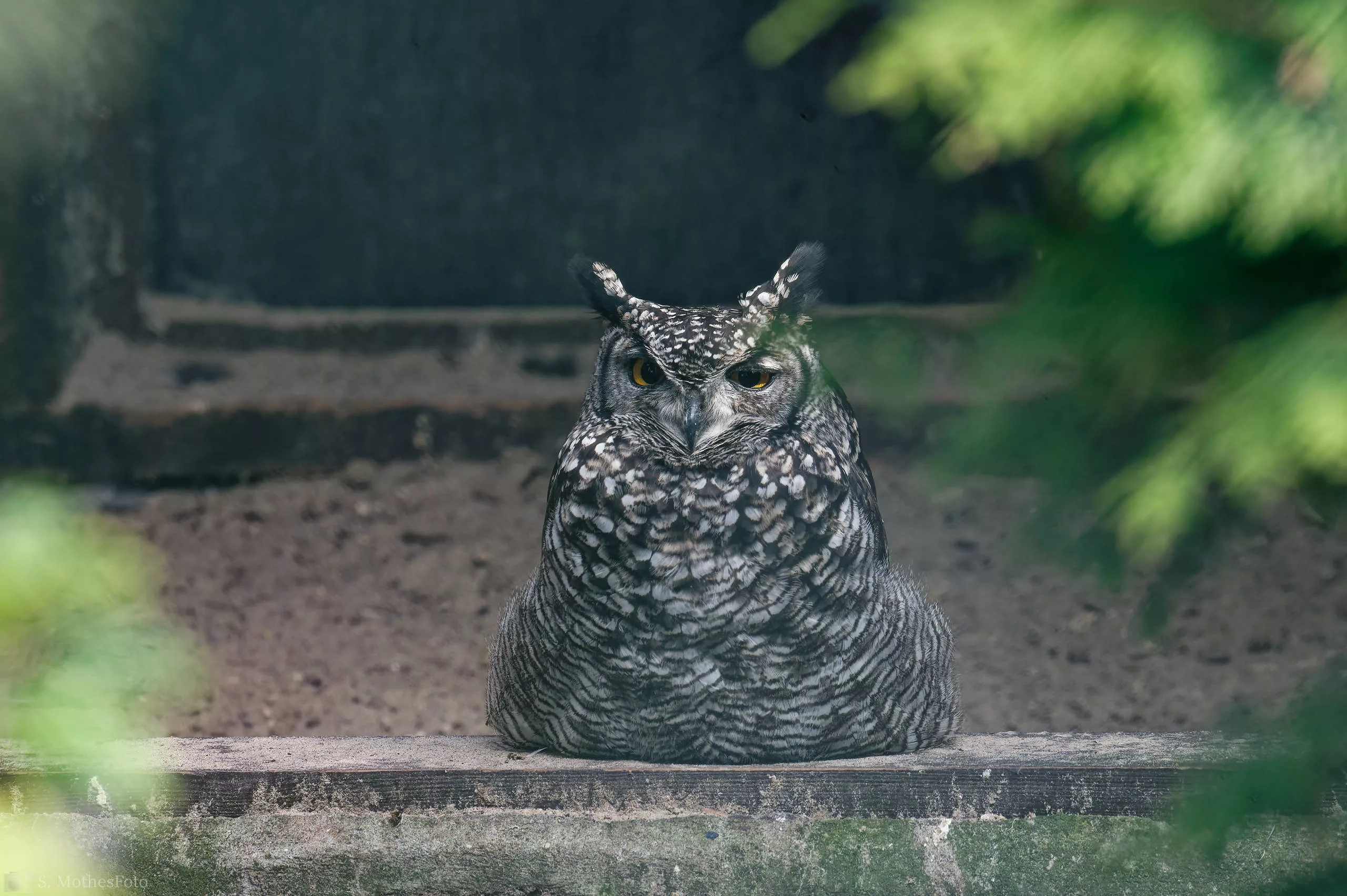 Zu Besuch im Vogelpark in Niendorf – Teil 2